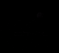 padelline padel line GIF