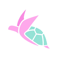 Turtle Writer Sticker by haere