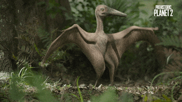 Learning To Fly Falling GIF by Apple TV