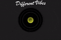 wesurfcamps surf camps we surf camps we surf israel we surf camps logo GIF