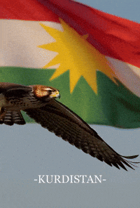 Kurdistan1 flag mountains kurdistan homeland GIF