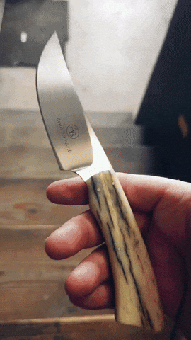 nilknarf1 south africa giraffe bone arno bernard GIF
