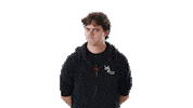 Disappointed Filmmaker Sticker by Dirty Paws Media