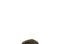 Looking Sticker by vdk Gent Damesvolley