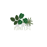 Plants Plantlife Sticker
