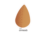 Arancino Sticker