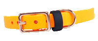 Dog Collar Sticker by The Sleek Hound