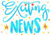 Excited News GIF by OneSquigglyLine
