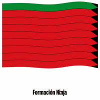Castilla Y Leon Flag GIF by Formación Ninja