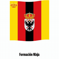Castilla Y Leon Bandera GIF by Formación Ninja