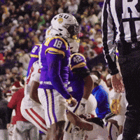 College Football GIF by LSU Tigers