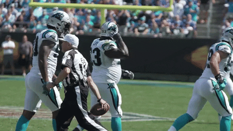 Julius Peppers Thank You GIF by Carolina Panthers