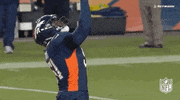 2018 Nfl Football GIF by NFL
