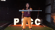 Softball Juco GIF by Pearl River Athletics