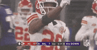 Kansas City Chiefs Football GIF by NFL