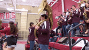 LafayetteLeopards band lafayette leopards roll pards GIF