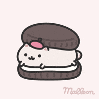 Happy Cat GIF