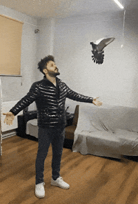 Güvercin GIF