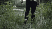 GIF by Northwood Church