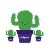 Synvia dancing cactus cactos dancingcactus Sticker