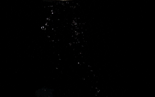 pop popcorn kernel GIF by TED