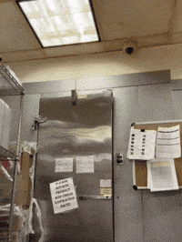 Bread Hezi GIF