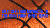 11 Seeds