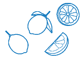 Mediterranean Sea Summer Sticker by Common Stitch