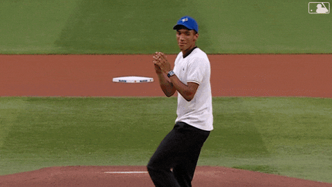 Blue Jays Baseball GIF by Toronto Blue Jays