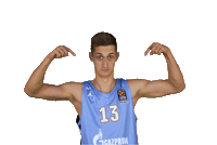 zenitbasket zenit zenitbasket bczenit Sticker