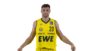 Ewe Baskets Basketball Sticker by EWE Baskets Oldenburg