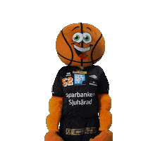 Basketball Sweden Sticker by Borås Basket