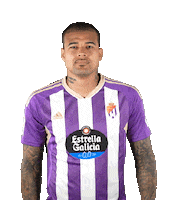 Football Soccer Sticker by Real Valladolid