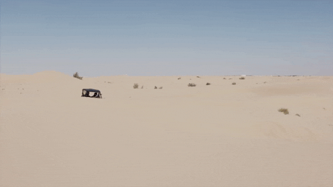 Red Bull F1 GIF by Red Bull Racing