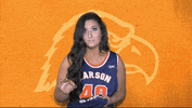 Cnwb19 GIF by Carson-Newman Athletics