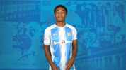 Dance Dancing GIF by ChemnitzerFC