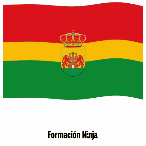 Bandera Malaga GIF by Formación Ninja