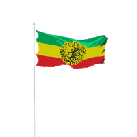 Festival Reggae Sticker by Gecky Heavy Hammer