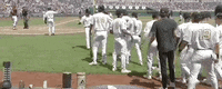 Nc State Baseball GIF by NCAA Championships