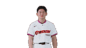 Kbo Sticker by Kiwoom Heroes Baseball Club