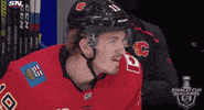 Celebrate Ice Hockey GIF by NHL