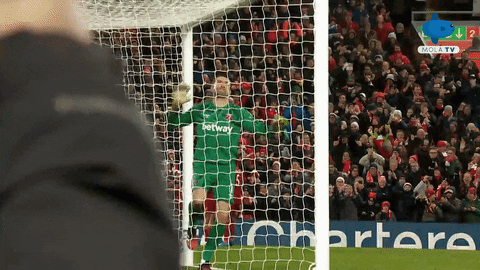 Angry Jump GIF by MolaTV