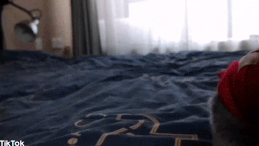 Whats Up Love GIF by TikTok