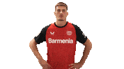Bayer Leverkusen Sticker by Bundesliga