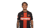 Bayer Leverkusen Thumbs Up Sticker by Bundesliga