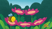 Honey Bee Bees GIF by Super Simple