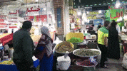 Islamic Republic Of Iran Travel GIF
