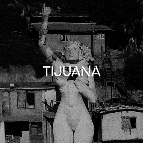 Mexico Tijuana GIF