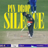 Team India GIF