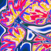 Rainbow Loop GIF by Toke